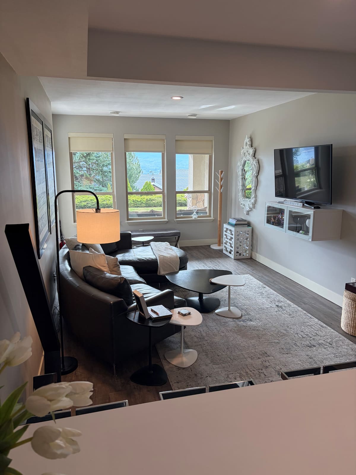 Bright living room with the valley view